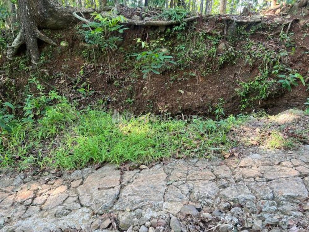 Dijual Super Murah Tanah Datar Hanya 50 Juta di Kedawung, Sragen