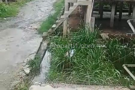 Dijual Tempat Usaha Peternakan Ayam Petelur di Rumpin, Bogor