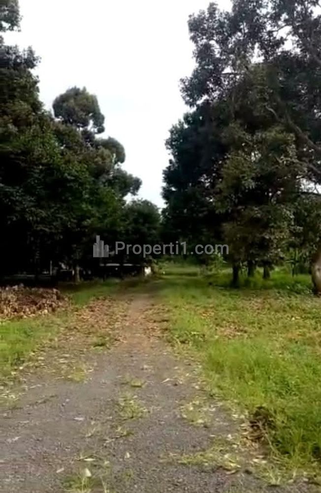 Jual Tanah Komersial Pinggir Jalan di Jalancagak Subang