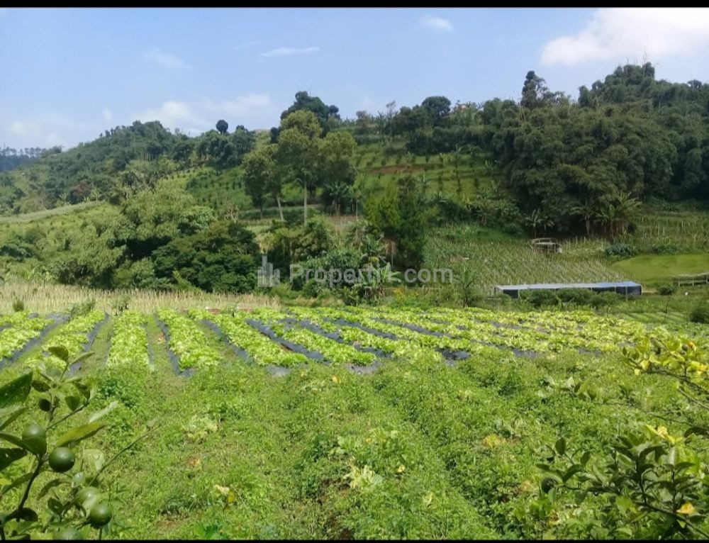 Jual Cepat Tanah Komersial Lokasi Strategis di Lembang, Bandung