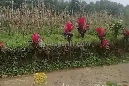 Jual Tanah Luas 400 m2 SHM di Pedesaan Sejuk Purwakartaa