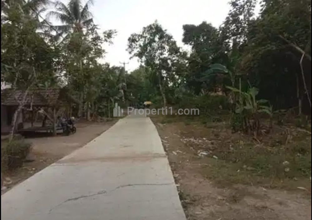 Jual Tanah Pinggir Jalan di Cisalam Baros Serang Banten, Cocok untuk Investasi