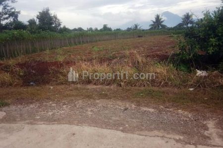 Jual Tanah Kebun Murah Seluas 2556 m2 di Ranca Bungur Bogor