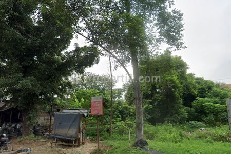 Disewakan Tanah Komersial Lokasi Strategis Depan PT Sunglim Chemical di Jl. Pemda Tigaraksa