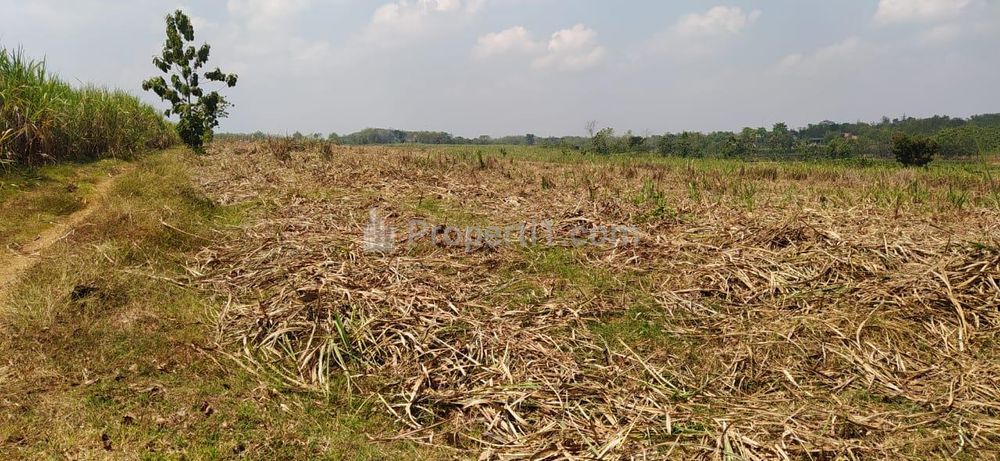 Dijual Tanah Strategis di Rejosari, Sukoharjo