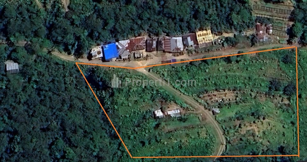 Jual Tanah Kebun Alpukat Produktif di Sukasada Buleleng Bali
