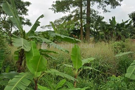 Dijual Tanah untuk Industri di Kawasan Pagaden Dekat Gerbang Tol Subang
