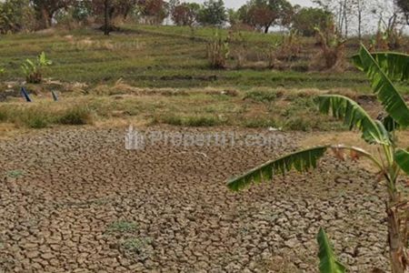 Jual Tanah Insdustri Pinggir Jalan Cikamurang dekat Gerbang Tol Cikedung Indramayu