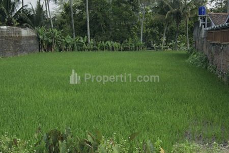 Tanah Sawah Dijual di Cangkringan Pakem Sleman, Cocok untuk Hunian Villa Rumah Makan Strategis Pinggir Jalan Besar