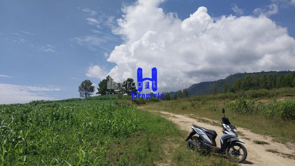 Jual Tanah Kosong di Desa Marlumba, Kec. Simanindo, Kab. Samosir
