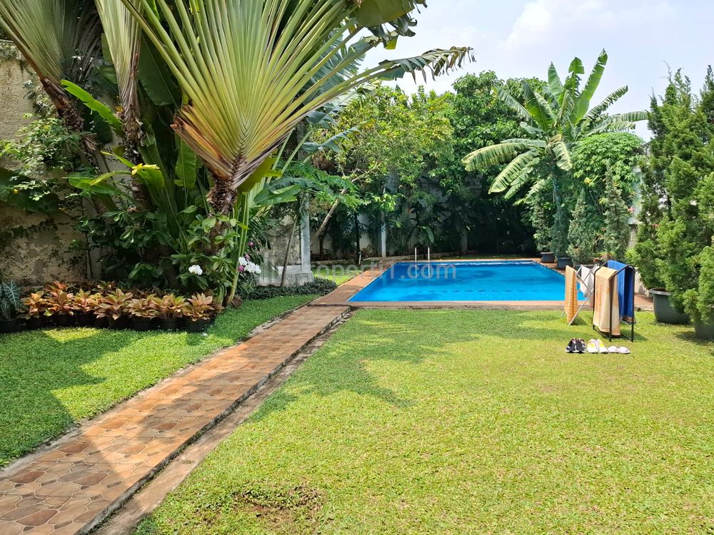 Sewa Rumah di Kemang Jakarta Selatan Ada Kolam Renang - 4 Kamar Tidur Furnished