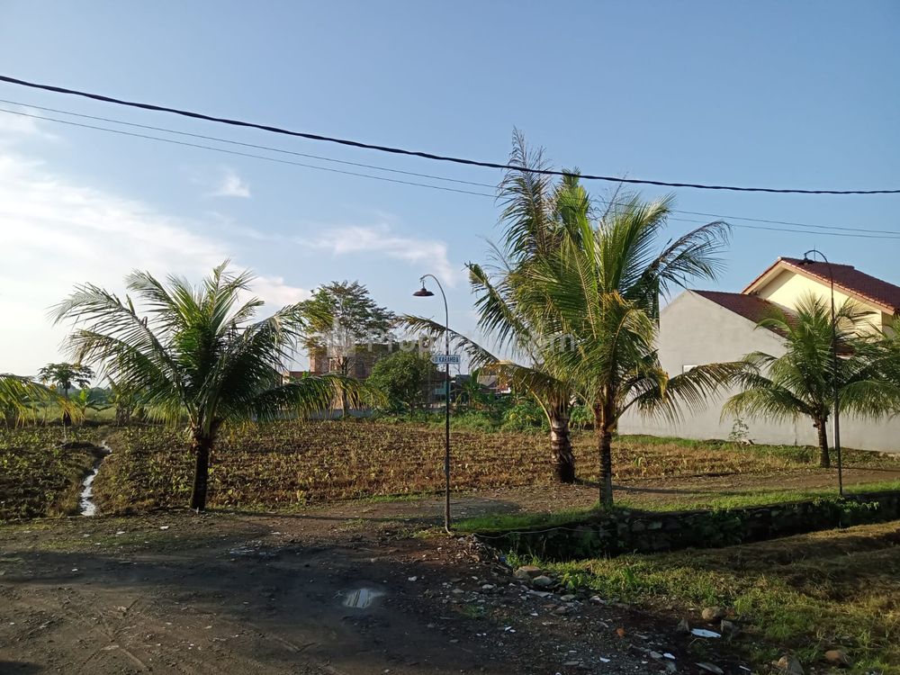 Jual Tanah Kavling Sakura Dramaga Bogor, SHM, Bisa Dicicil Tanpa Bunga