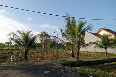 Jual Tanah Kavling Sakura Dramaga Bogor, SHM, Bisa Dicicil Tanpa Bunga