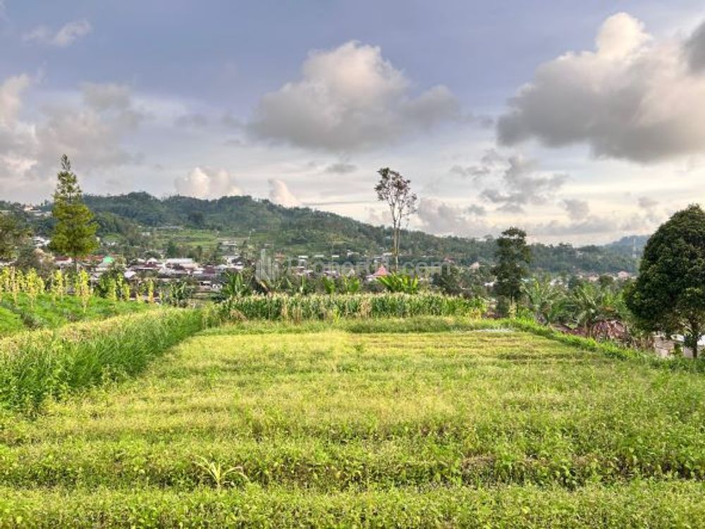 Dijual Tanah View Tanpa Terhalang Luas 852m² di Karangpandan, Karanganyar, Solo