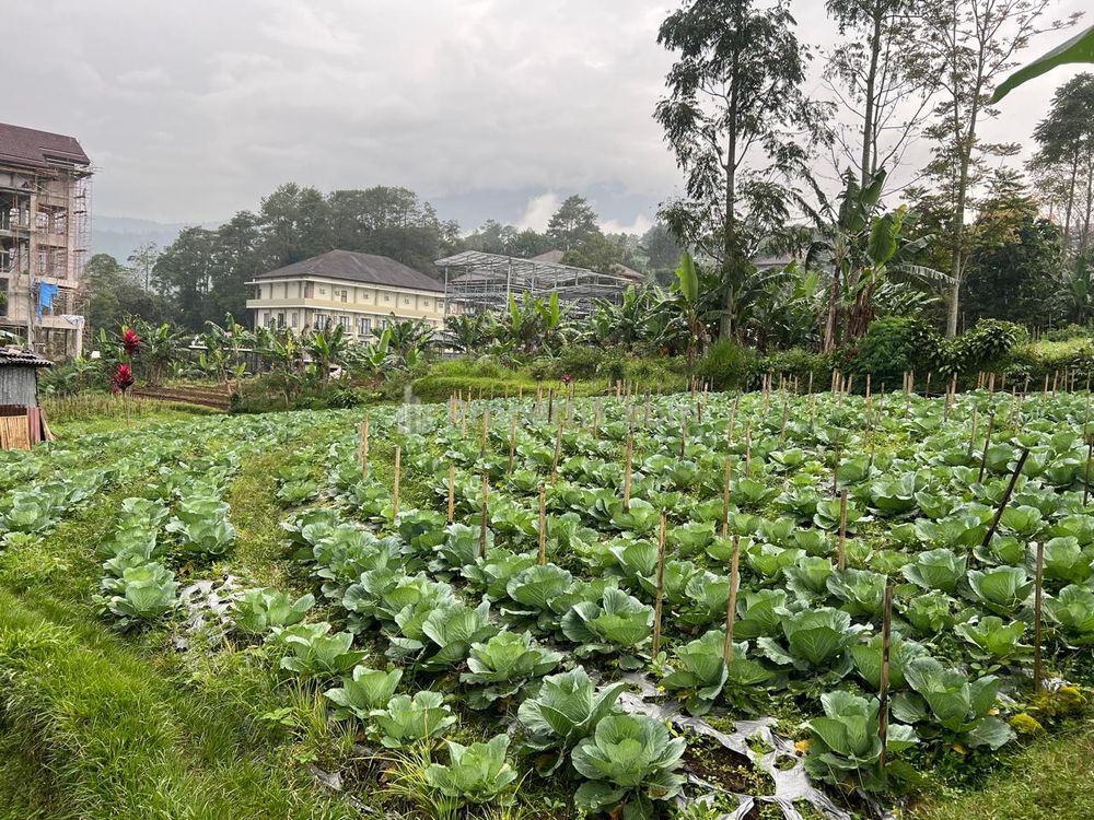 Dijual Tanah 300m² Kawasan Wisata Strategis Tawangmangu