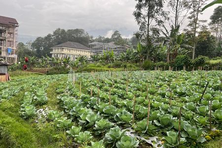 Dijual Tanah 300m² Kawasan Wisata Strategis Tawangmangu