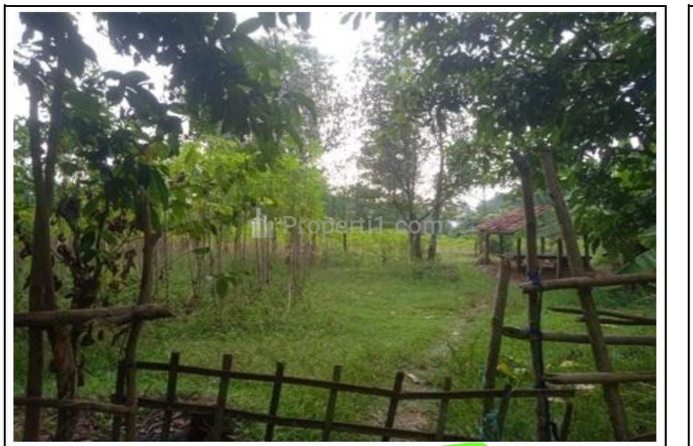 Jual Cepat Tanah Kosong di Blok Asem Desa Kertamukti, Purwakarta