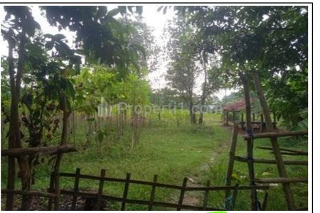 Jual Cepat Tanah Kosong di Blok Asem Desa Kertamukti, Purwakarta