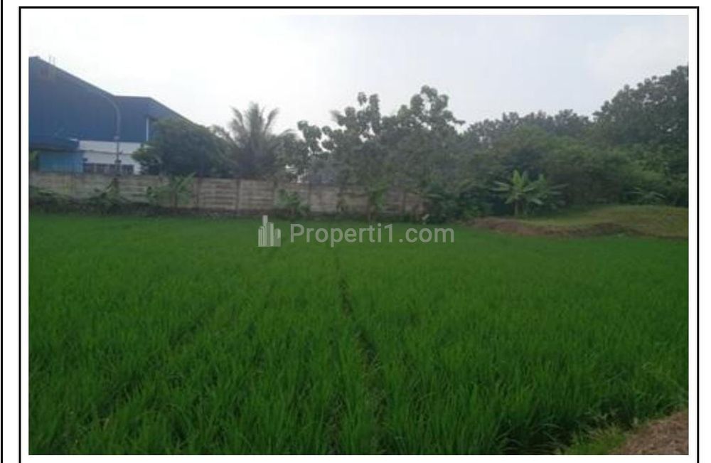 Jual Cepat Tanah Kosong di Blok Asem Desa Kertamukti, Purwakarta