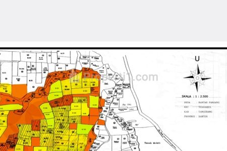 Jual Murah Nego Tanah 70 Hektar SHM Desa Bantar Panjang, Tigaraksa, Tangerang, Banten Cocok Perumahan Subsidi