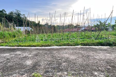 Jual Tanah Udara Dingin 562m² Kawasan Strategis Karangpandan, Karanganyar, Jawa Tengah