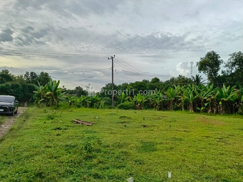 Jual Tanah Kavling di Bojongmangu Bekasi Harga 1 Juta Per Meter