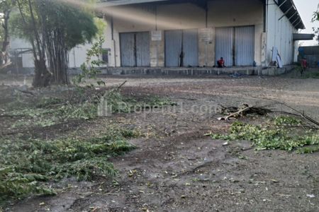 Jual Murah Nego Gudang 1 Hektar Bangunan 1600 m2 Zona Industri di Raya Pantura, Pengasinan, Maribaya, Kramat, Tegal