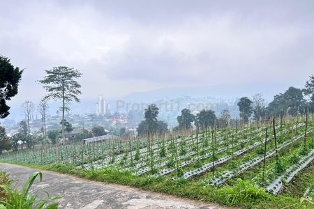 Jual Tanah 1068m² View Cantik Tanpa Halang Ngargoyoso Karanganyar 