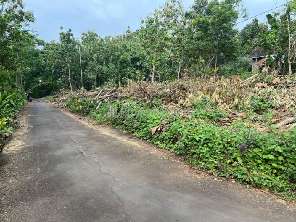 Dijual Tanah Hook Datar 987m² Utara Kecamatan Kerjo, Karanganyar