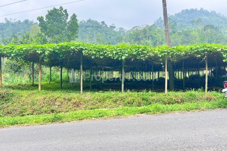 Dijual Tanah 1500m² Siap Bangun Café Kawasan Wisata Kemuning