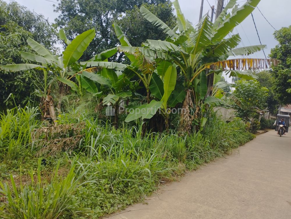 Dijual Tanah Darat Pinggir Jalan Desa Cimangir, Gunung Sindur, Bogor