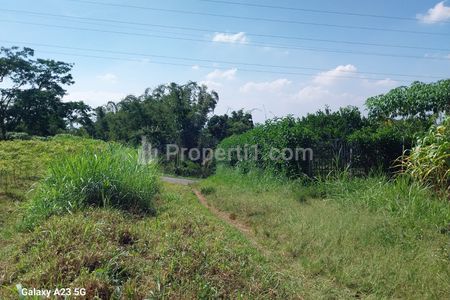 Dijual Tanah Dau Tegalweru Malang, Luas tanah 225 m2
