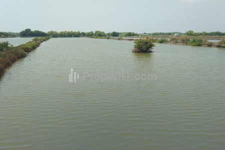 Dijual Tanah Tambak Strategis Dekat Kota Indramayu
