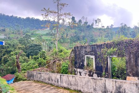 Dijual Tanah 800m² View Perkebunan Teh di Jenawi, Karanganyar