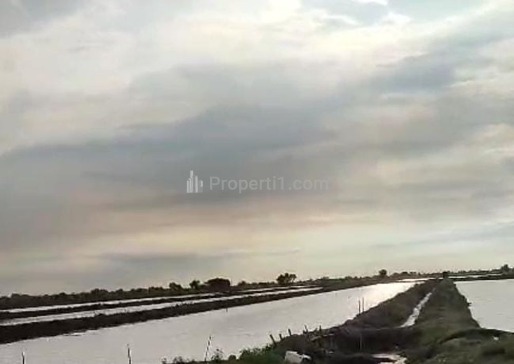 Dijual Tambak Strategis Dekat Jalan Pantura Kiajaran Kulon Lohbener Indramayu