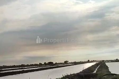 Dijual Tambak Strategis Dekat Jalan Pantura Kiajaran Kulon Lohbener Indramayu