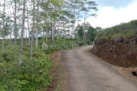 Jual Tanah Kebun Produktif dan Strategis Pinggir Jalan di Taraju Tasikmalaya