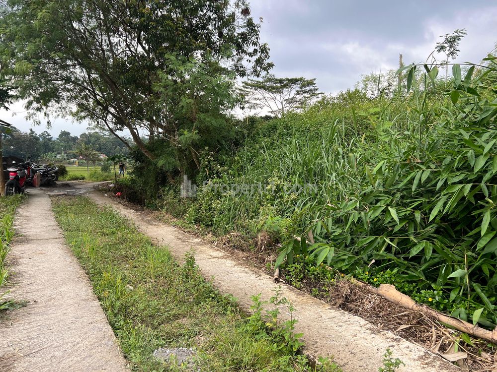 Jual Sawah Subur 5000m² di Karangpandan Karanganyar Solo
