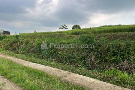 Dijual Tanah Subur 1000m² 300 Juta Karangpandan, Karanganyar