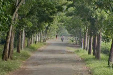 Dijual Tanah Industri Marengmang Dekat Gerbang Tol Kalijati Subang