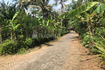 Dijual Tanah Pekarangan Sendangagung Minggir Sleman, Bisa Dikavling, Lingkungan Pedesaan Nyaman Berkembang