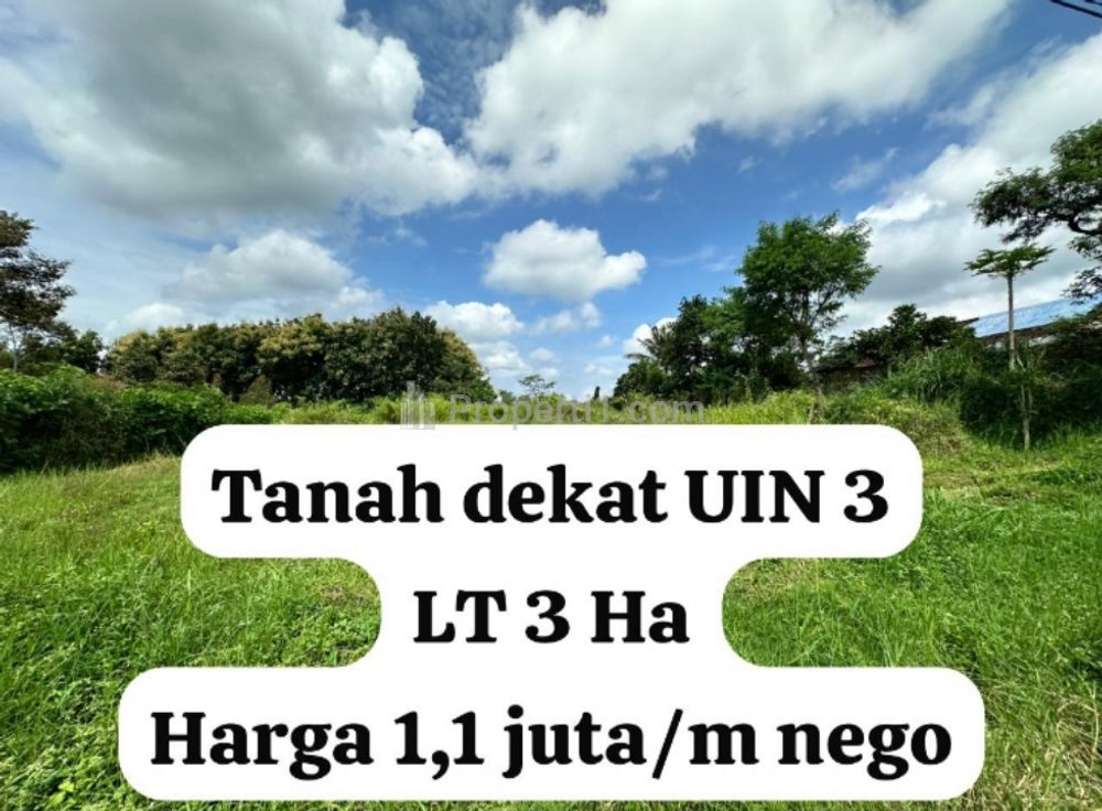 Dijual Tanah Dekat Kampus UIN 3 Malang, Luas Tanah 3 Hektar