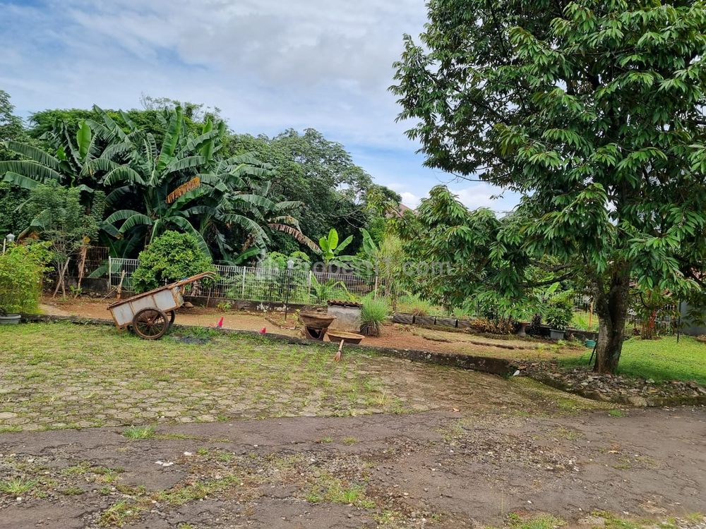 Dijual Cepat Lahan Bonus 3 Rumah Layak Huni di Jalan Curug Raya, Bojongsari, Depok