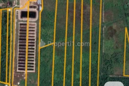 Dijual Tanah untuk Industri dan Kebun Strategis Dekat Jalan Trans Kalimantan Barat