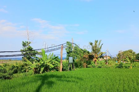 Dijual Tanah 5340 m2 View Pantai Purnama Gianyar Bali