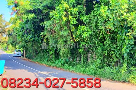 Dijual Tanah Zona Pariwisata di Jl Pantai Purnama Gianyar Bali