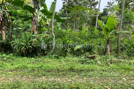Dijual Tanah Datar Murah 500m 175Jt Jenawi Karanganyar