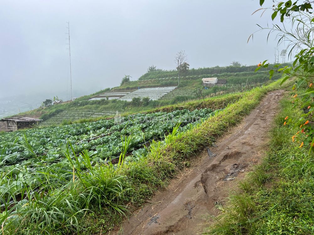 Dijual Tanah Wisata Kemuning Karanganyar 1000m2 View Istimewa
