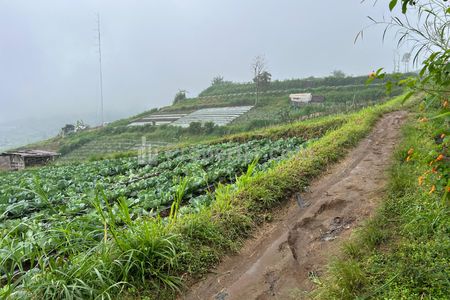 Dijual Tanah Wisata Kemuning Karanganyar 1000m2 View Istimewa