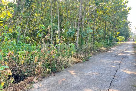 Jual Tanah Kebun Jati 944m² Dekat SMAN 1 Plupuh Sragen